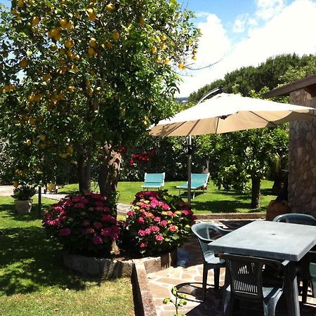 Chalet Claudia Sant'Agnello Bagian luar foto